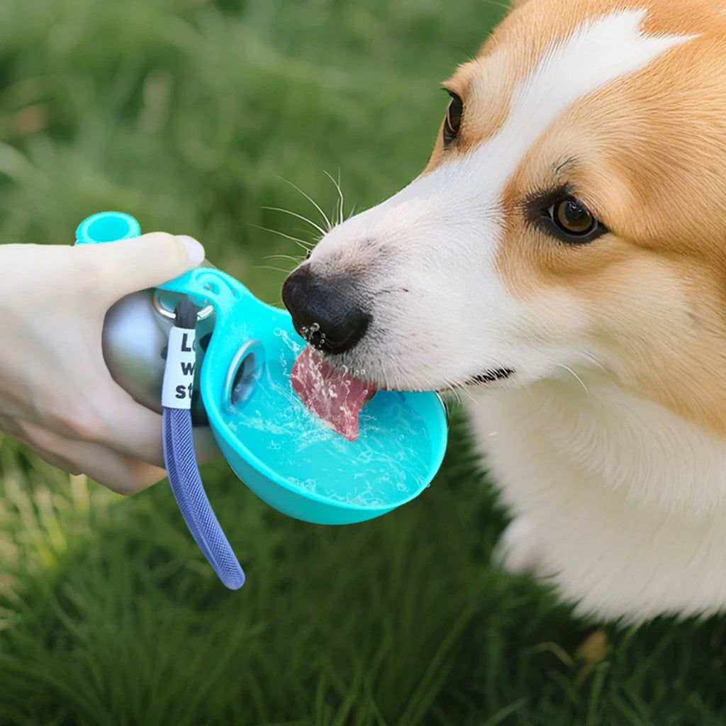 Pet Water Bottle 304 Stainless Steel Collapsible Ball Shaped Drinking Device Portable Dog Bowl  For Small Dogs Outdoor Portable